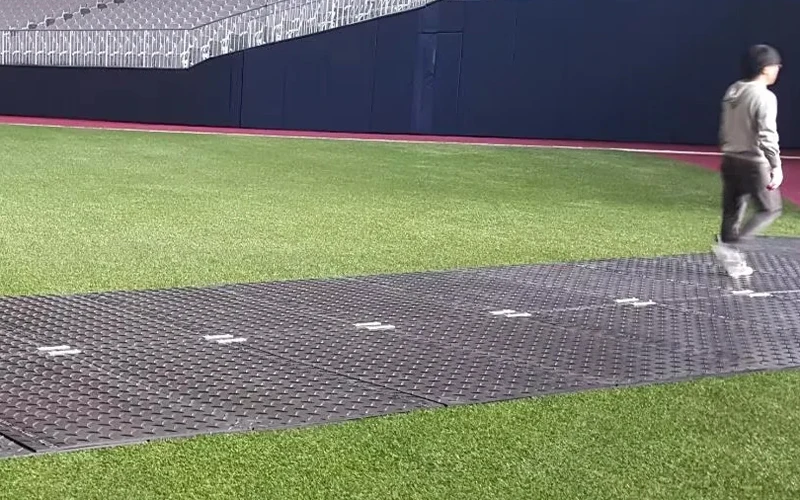 Large-scale exhibitions and temporary events